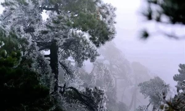 我的灰指甲用过很多种药物进行治疗，效果都不大明显，我很苦恼，到底治疗灰指甲药哪个牌子好呢？游戏画面