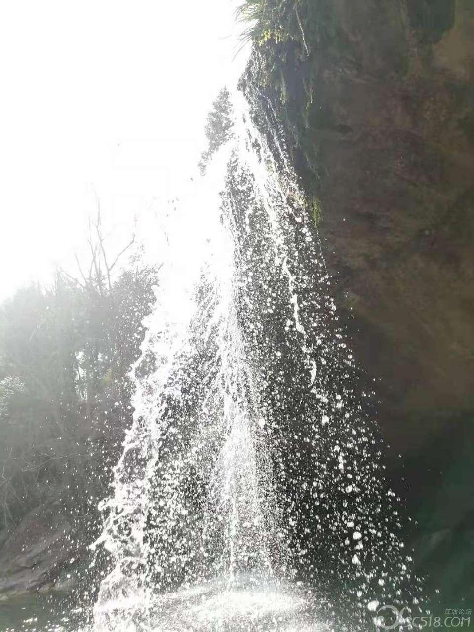 动物帮帮忙保卫家园