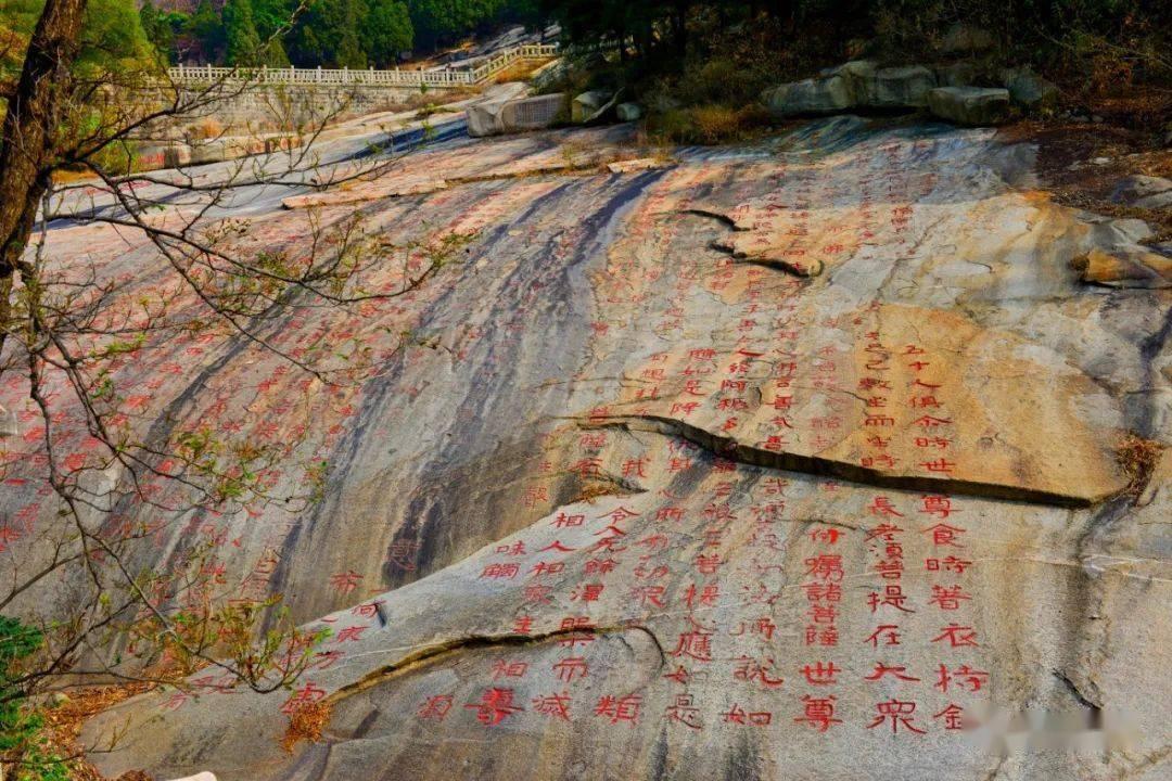逃离整洁的储藏室